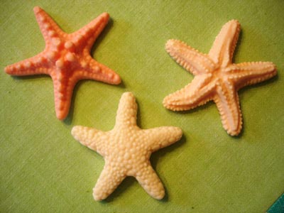 starfish_detail